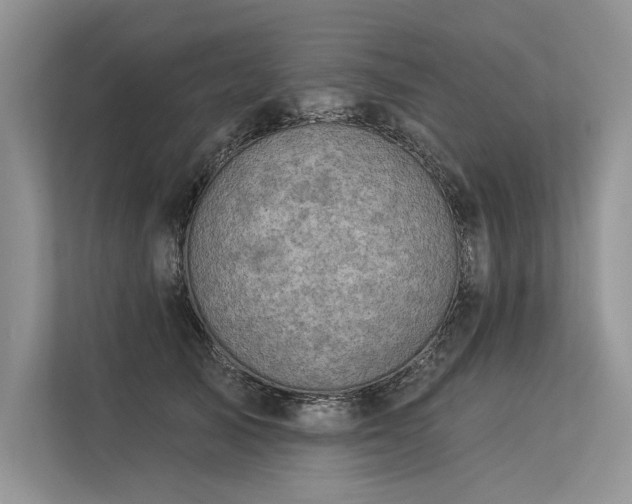 X0000113340705200909221124