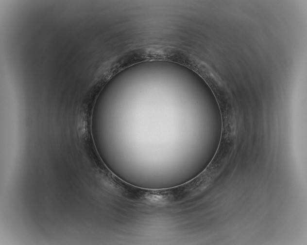 X0000113340706200909221124