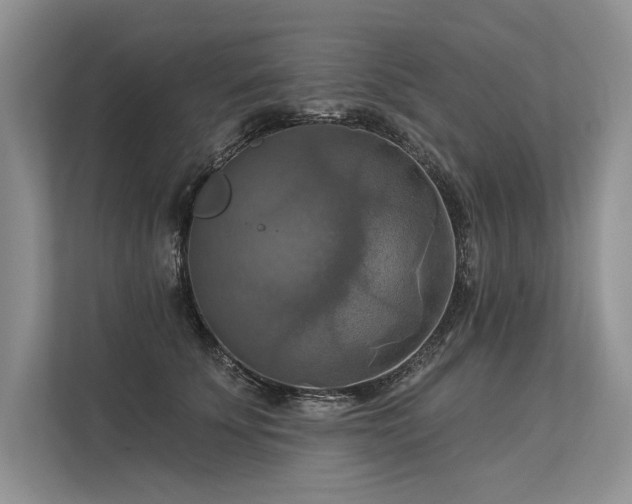 X0000113340707200909221124