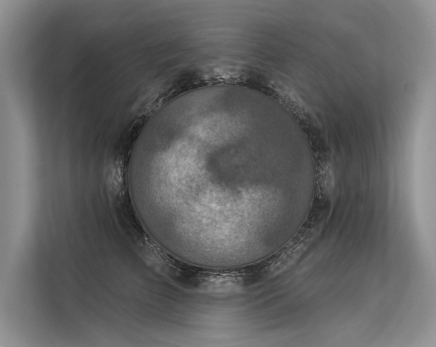 X0000113340709200909221123