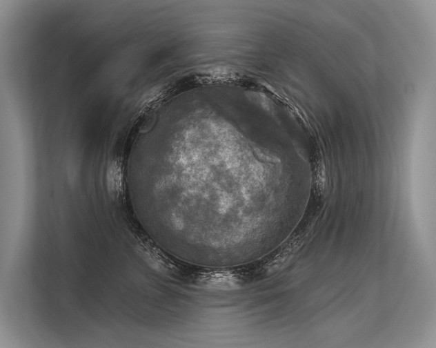 X0000113340715200909221123