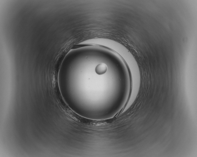 X0000113340716200909221123