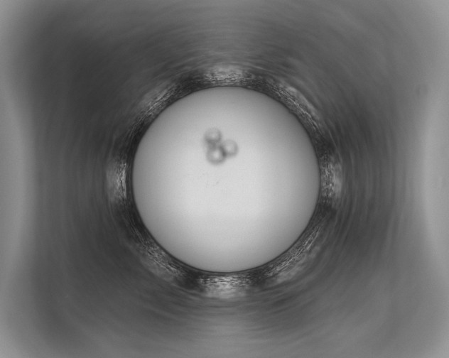 X0000113340717200909221123