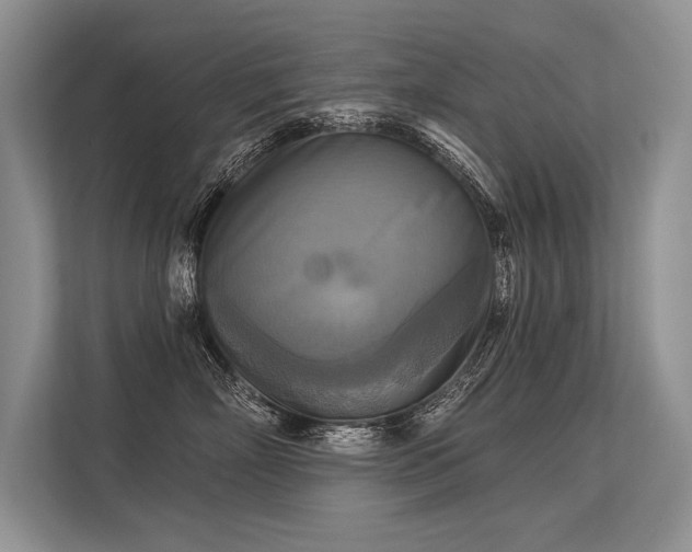 X0000113340718200909221123