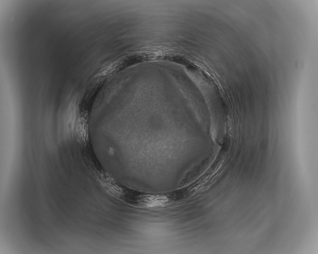 X0000113340719200909221123