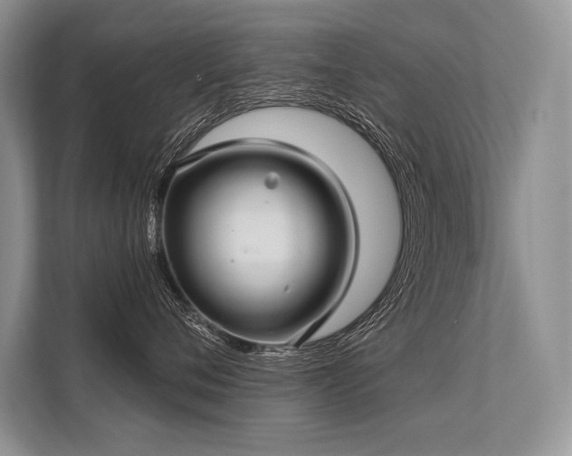 X0000113340720200909221123