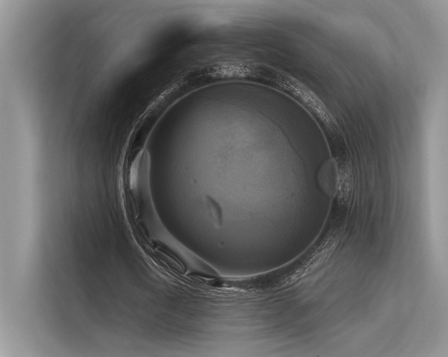 X0000113340722200909221123