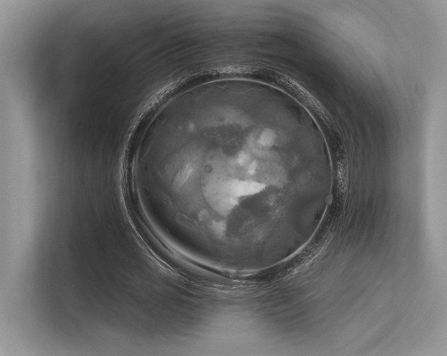 X0000113340725200909221123