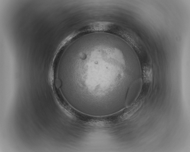 X0000113340726200909221123