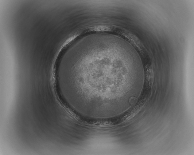 X0000113340727200909221123