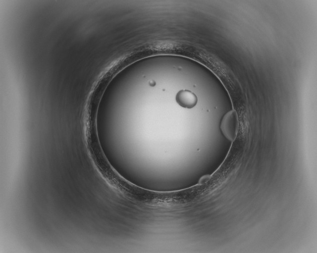 X0000113340728200909221123