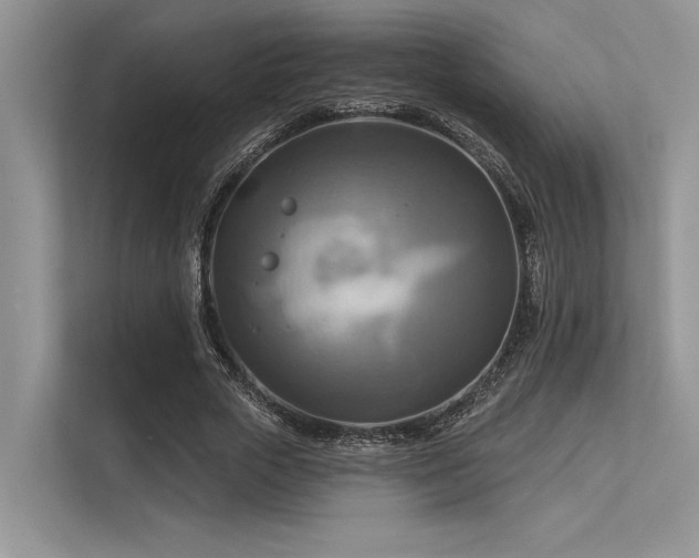 X0000113340729200909221123