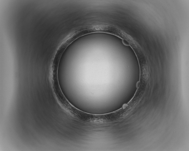 X0000113340730200909221123