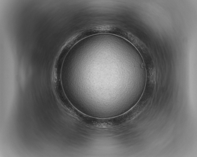 X0000113340731200909221123