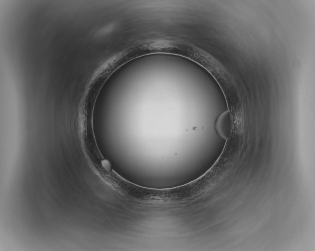 X0000113340732200909221123