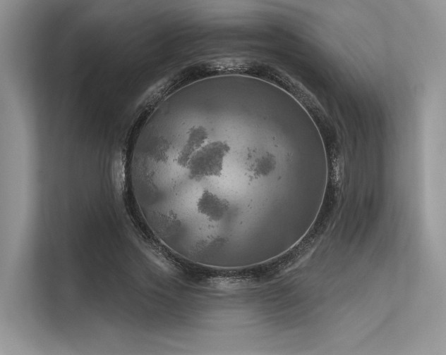 X0000113340733200909221123