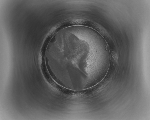 X0000113340734200909221123