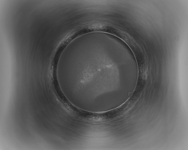 X0000113340735200909221123