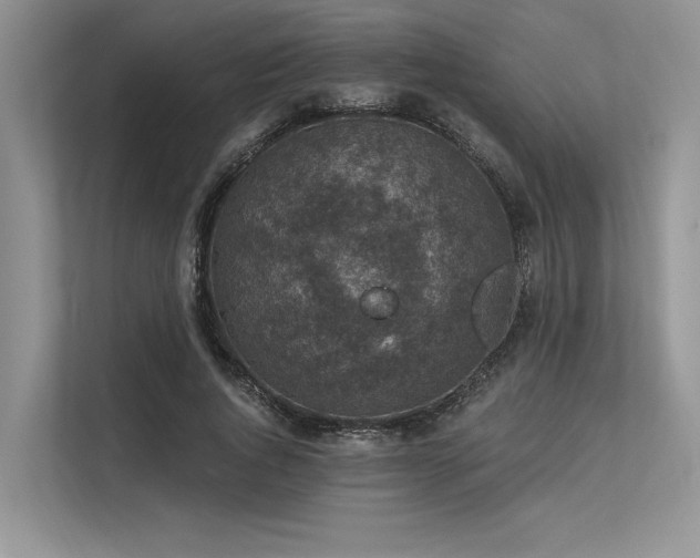 X0000113340736200909221123