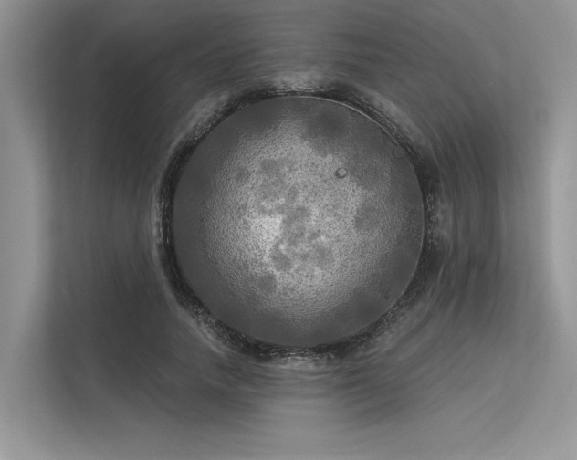 X0000113340738200909221123