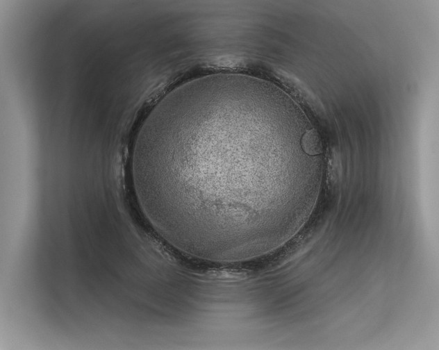 X0000113340739200909221123