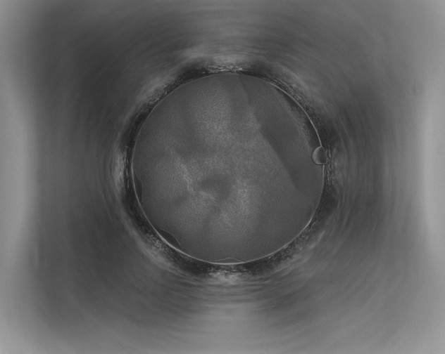 X0000113340742200909221123