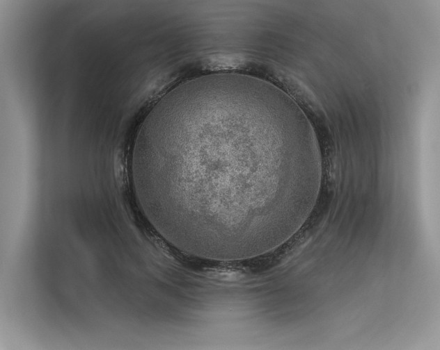 X0000113340743200909221123