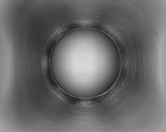 X0000113340744200909221123