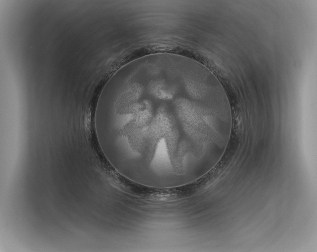 X0000113340745200909221123