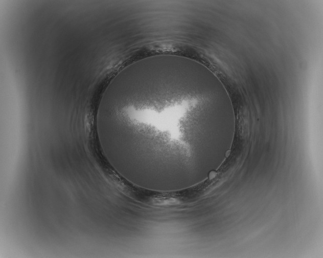 X0000113340747200909221123