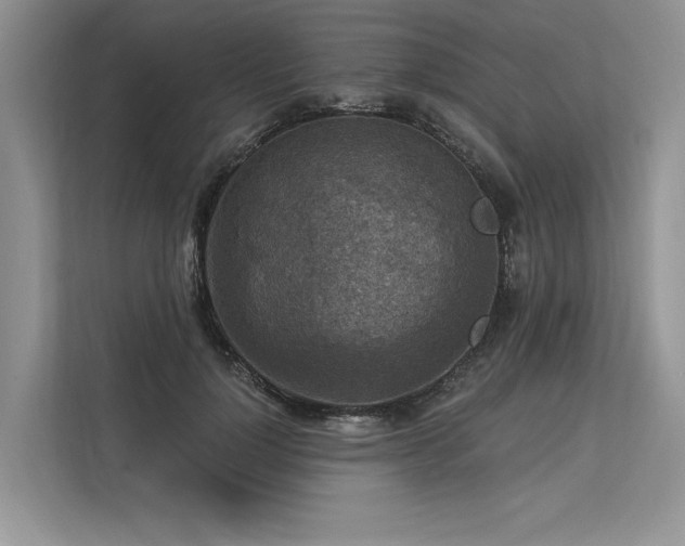 X0000113340748200909221123