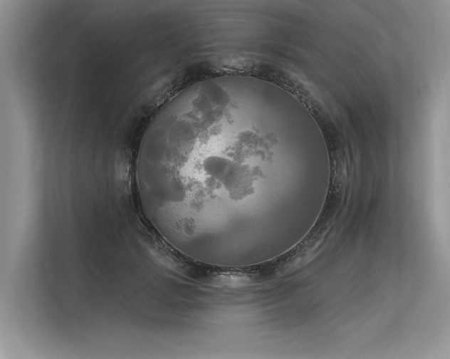 X0000113340749200909221123