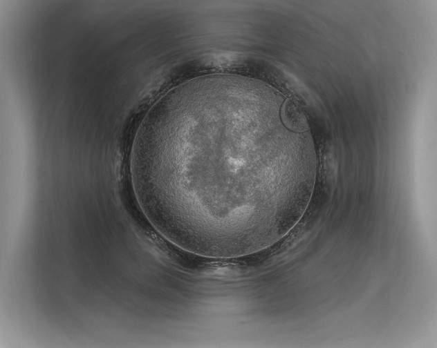 X0000113340750200909221123