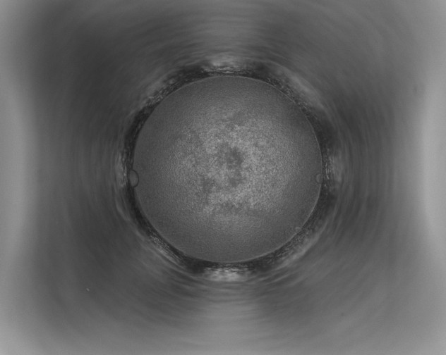 X0000113340751200909221123