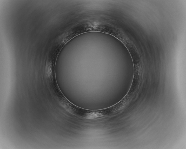 X0000113340754200909221123