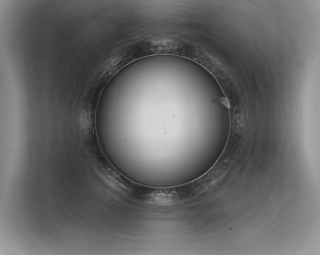 X0000113340756200909221123