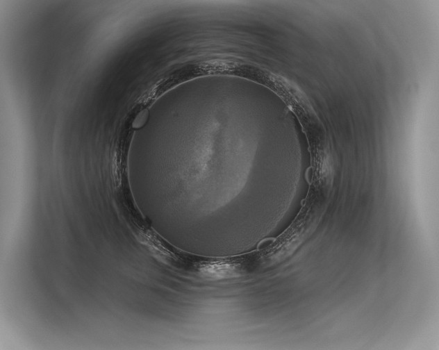 X0000113340759200909221123