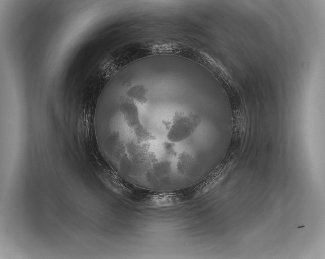 X0000113340761200909221123