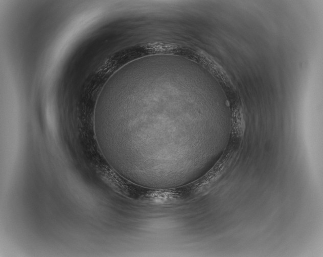 X0000113340762200909221123