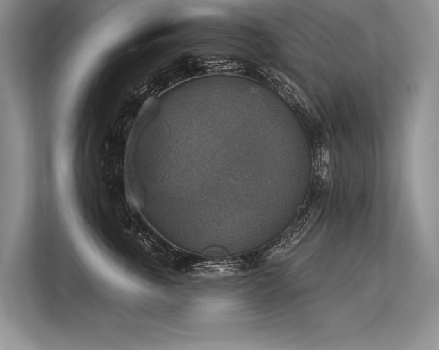 X0000113340763200909221123