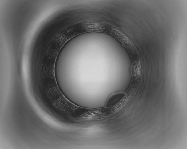 X0000113340764200909221123