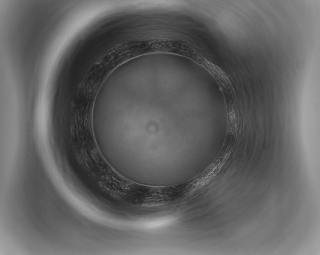 X0000113340765200909221123