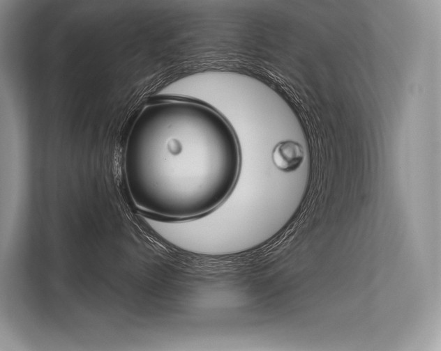 X0000113340768200909221123