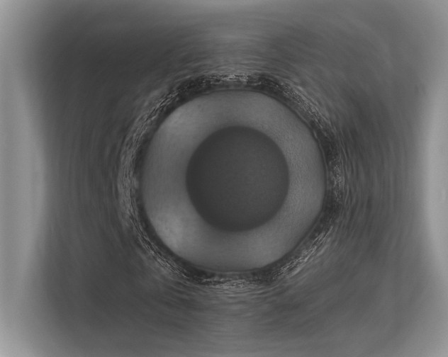 X0000113340769200909221123