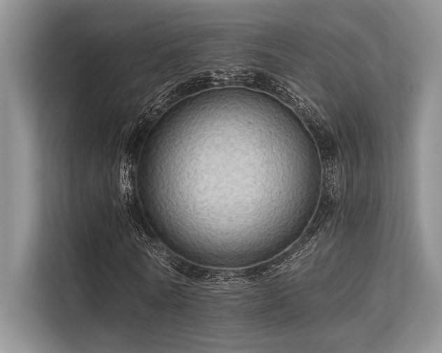 X0000113340770200909221123