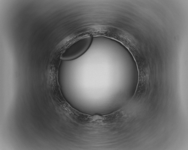 X0000113340773200909221123