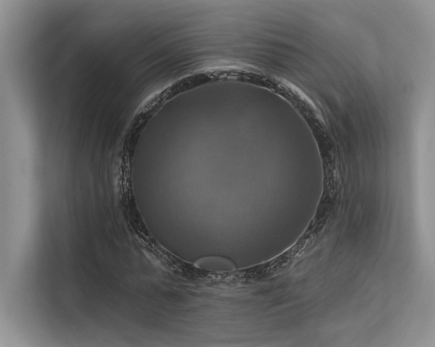 X0000113340775200909221123