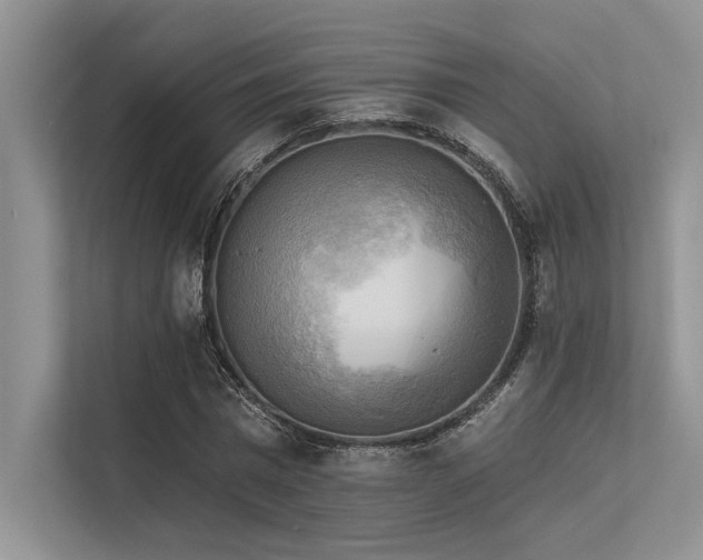 X0000113340777200909221123