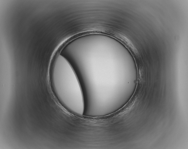 X0000113340780200909221123