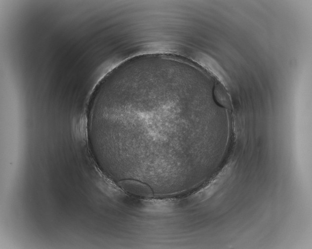 X0000113340781200909221123